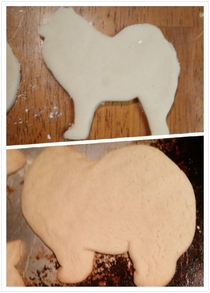 My dog cookies didnt come out exactly as planned