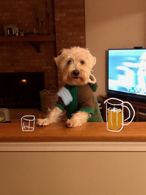 My dog Hugo loves to sit in this spot I think hed make an excellent bartender
