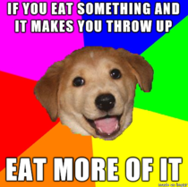 My dog is  years old and still abides by this philosophy