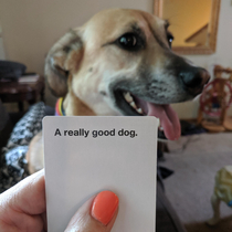 My dog just brought me this CAH card from downstairs