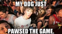 My dog just reached over and tapped my phone with his paw causing my game to stop Then suddenly