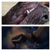 My dog looks like the T-Rex from the land before time when hes sleeping