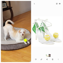 My dog Max vs Channel Stilettos  Who did it better
