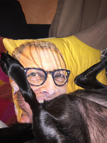 My dog sleeping on my Jeff Goldblum pillow