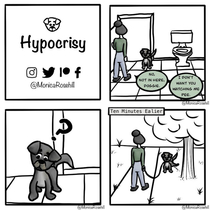 My dog thinks Im a hypocrite OC