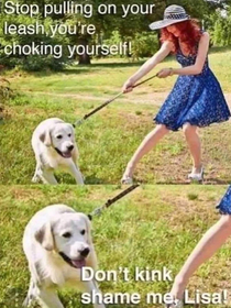 My doggo does this