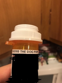 My dogs name according to her vet