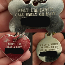 My dogs tags