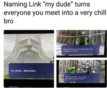 My dude Link