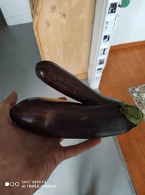 My eggplant reminds me of something but I dont know what