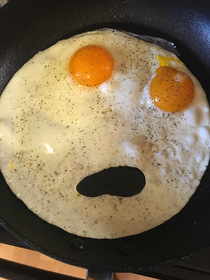 My eggs were terrified this morning
