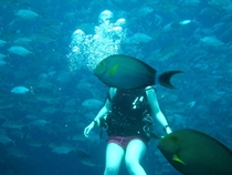 My family is never gonna believe I went scuba diving take my picture so I can prove it