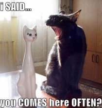 My favorite lolcat of all time
