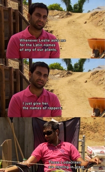My favourite Parks and Rec moment