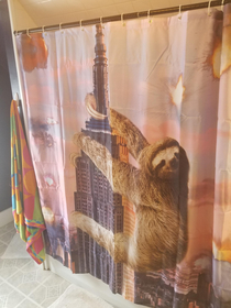 My fiance asked me to find a new shower curtain