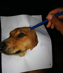My first time to draw my dog Please be nice