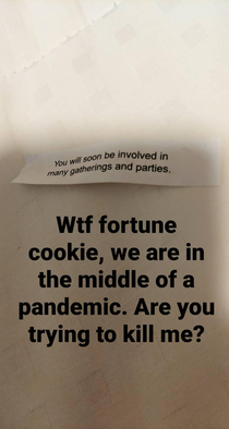My fortune cookie is trying to kill me