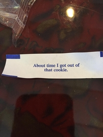 My fortune cookie today