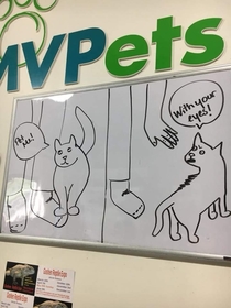 My friend draws the best cartoons working at a pet store This is my favorite