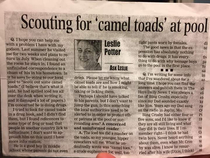 My friend found this newspaper article