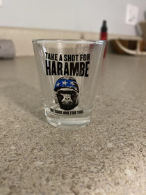 My friend got me the greatest shot glass created by man
