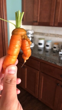 My friend grows some of the sexiest produce