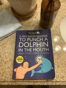 My friend had this book in her bathroom