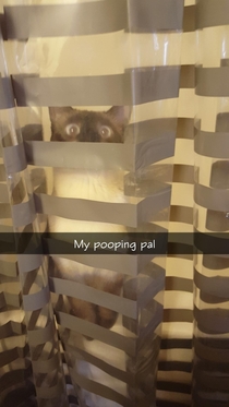 My friend has a pooping pal