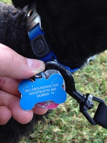 My friend named his dog after his favorite actor This is his tag