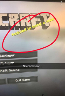 My friend opened Minecraft and this happened