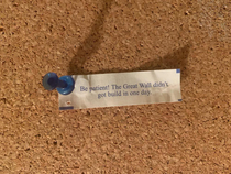 My friend received this gem of wisdom in a fortune cookie