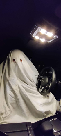 My friend was a ghost driver for Halloween