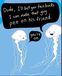 My friend was recently stung by a jellyfish I showed him this the next day Gave him a good laugh