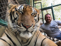 My friend went to Thailand and apparently got a tiger to take a selfie of the two of them smiling