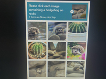 My friends Captcha for logging into her Epic account