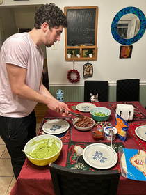 My friends cat waited politely to be served steak at dinner tonight