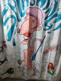 My friends interesting taste in shower curtains