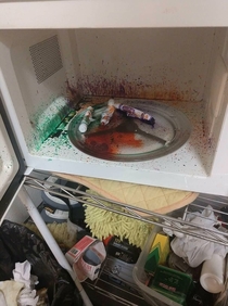 My friends kids decided to microwave Crayola markers