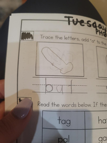 My friends son was asked to draw a  bat