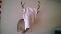 My friends took mushrooms last night at my house My deer head on the wall was staring at them