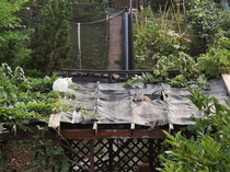 My gazebo has become a cat castle