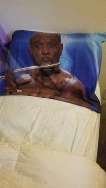 My gf asked me to get Terry Crews in bed with her so I got this pillowcase made