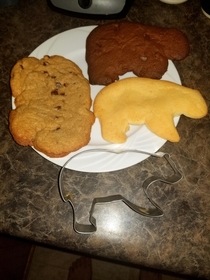My GF loves bears so I wanted to make her bear cookies for her bday I hope she likes hippos too
