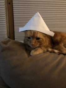My Gf taught my little cousin how to make paper hats his mom sent me this a few hours later