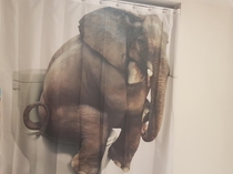 My girlfriend also let me choose our shower curtain
