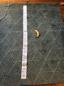 My girlfriend bought two things from CVS Banana for scale