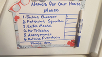 My girlfriend has a mouse in her house so her cousin took it upon himself to do what was necessary