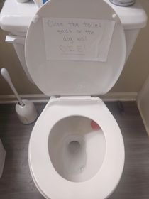 My girlfriend recently got these toilet fresheners She promptly made these signs to combat my forgetfulness