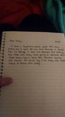 My girlfriend started a new diary today I got curious and took a glance at it after asking her about it Something tells me this a dummy diary