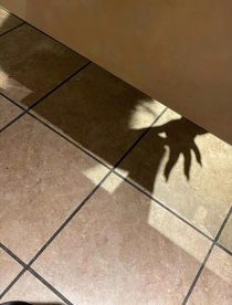 My girlfriend thinks there was a witch in the stall next to hers what do yall think